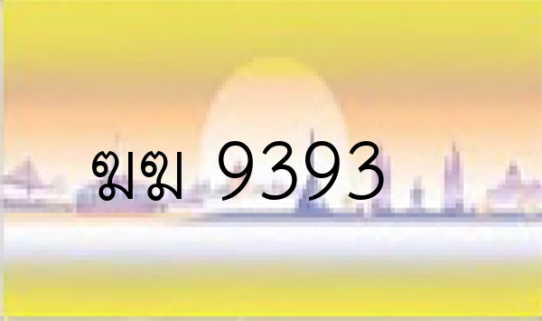 ฆฆ 9393